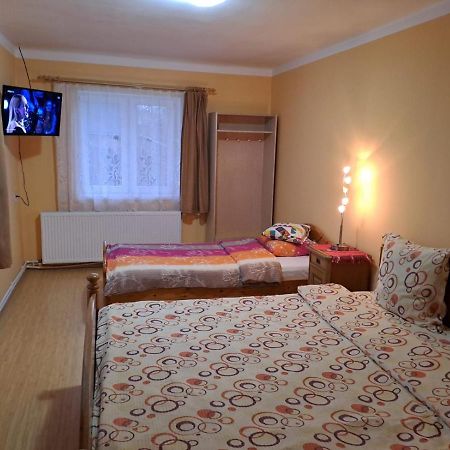 Villa Casa Argentina à Cîrţişoara Extérieur photo