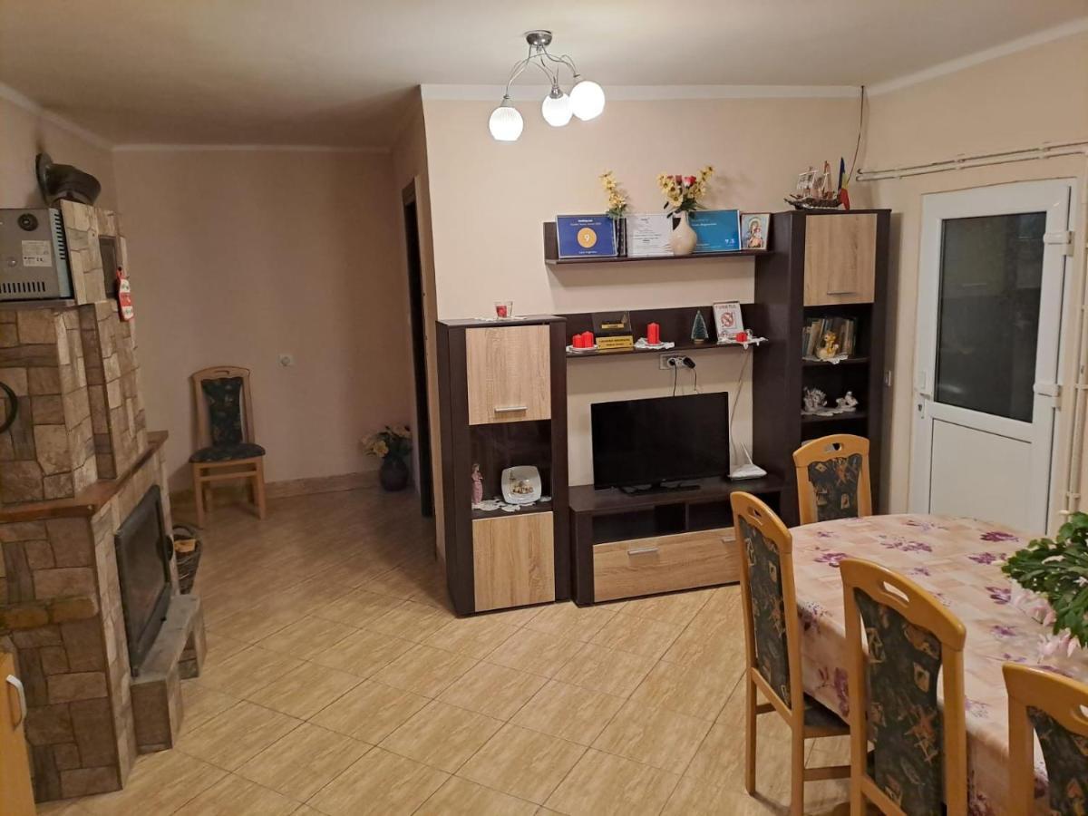 Villa Casa Argentina à Cîrţişoara Extérieur photo