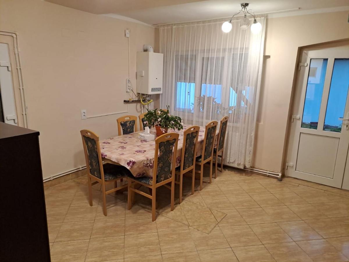 Villa Casa Argentina à Cîrţişoara Extérieur photo