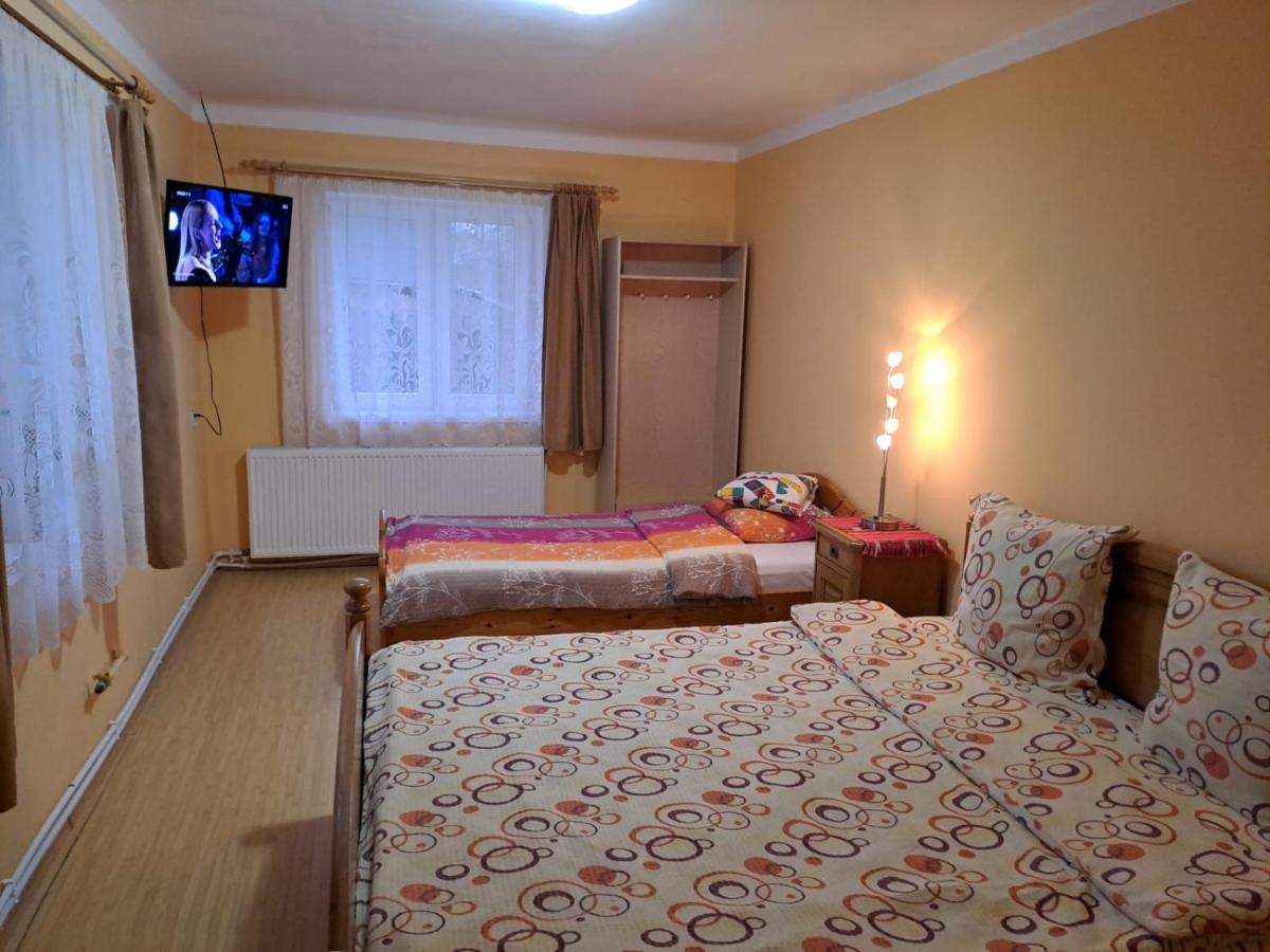 Villa Casa Argentina à Cîrţişoara Extérieur photo