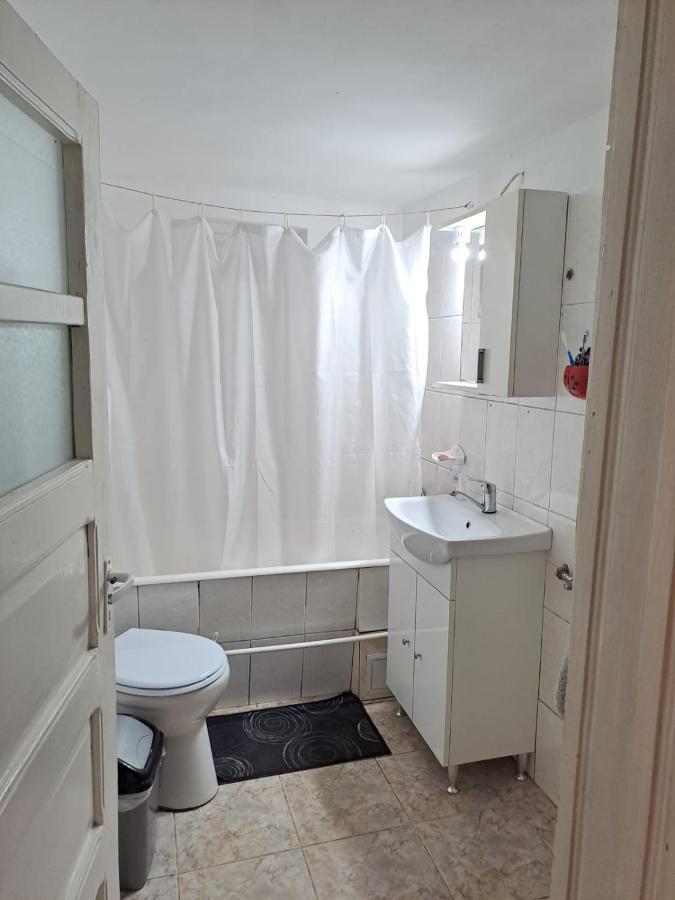 Villa Casa Argentina à Cîrţişoara Extérieur photo