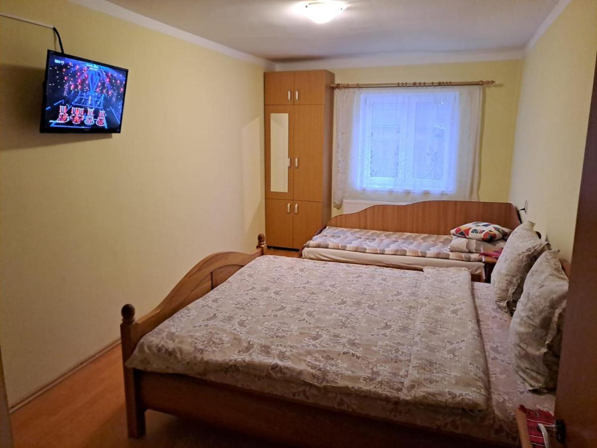 Villa Casa Argentina à Cîrţişoara Extérieur photo