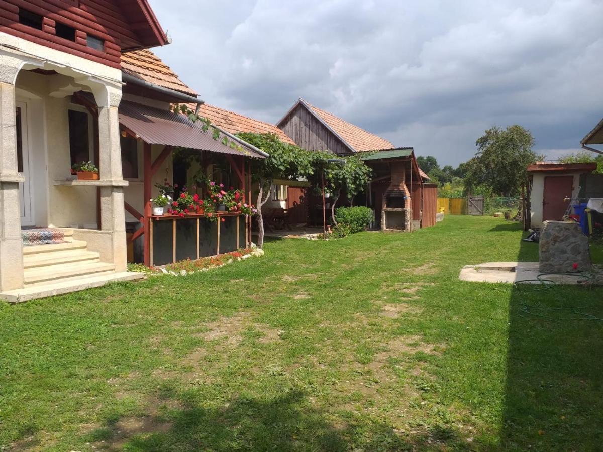 Villa Casa Argentina à Cîrţişoara Extérieur photo